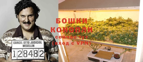 дживик Волоколамск